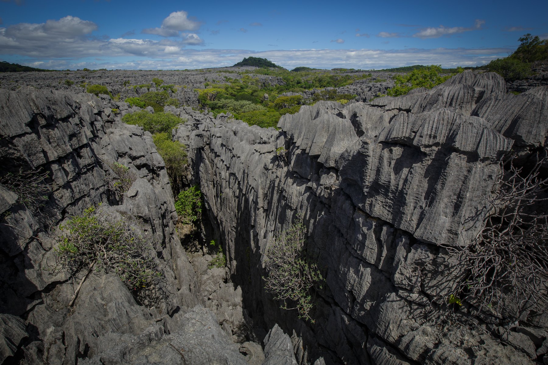 Les tsingy de l’Ankarana